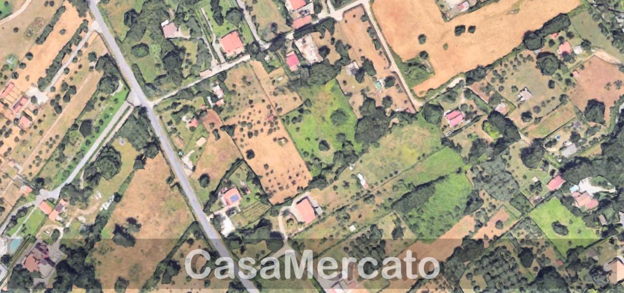 Vendita Terreni, Grottaferrata foto