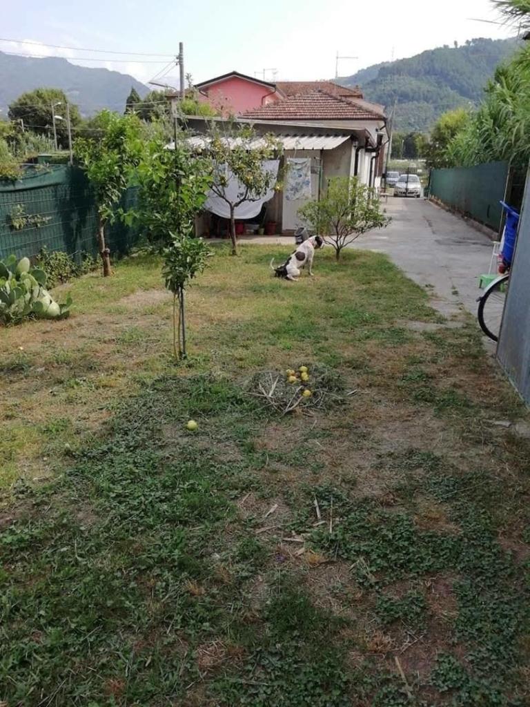 Vendita Quadrivani, Massa foto