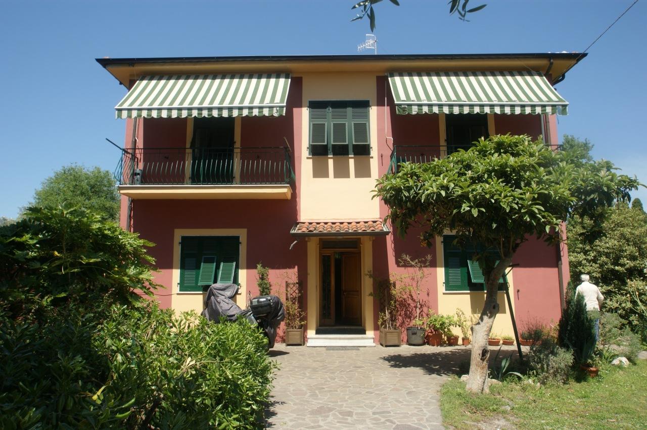 Vendita Multivani, Sarzana foto