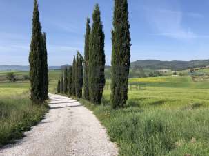 Vendita Eptavani, Orciano Pisano Vendita Eptavani, Orciano Pisano