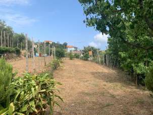 Vendita Terreni, Vado Ligure Vendita Terreni, Vado Ligure