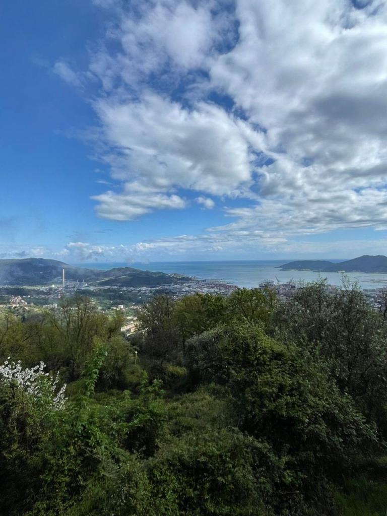 Vendita Pentavani, La Spezia foto