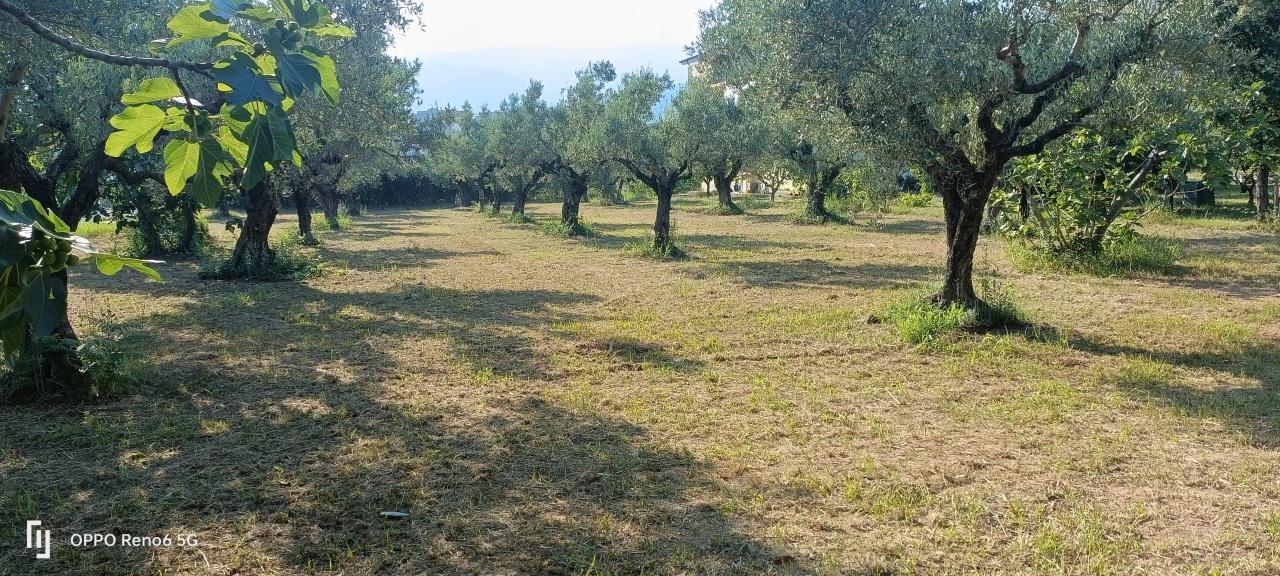 Vendita Monovano, Lamezia Terme foto
