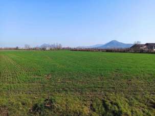 Vendita Monovano, Noventa Vicentina Vendita Monovano, Noventa Vicentina