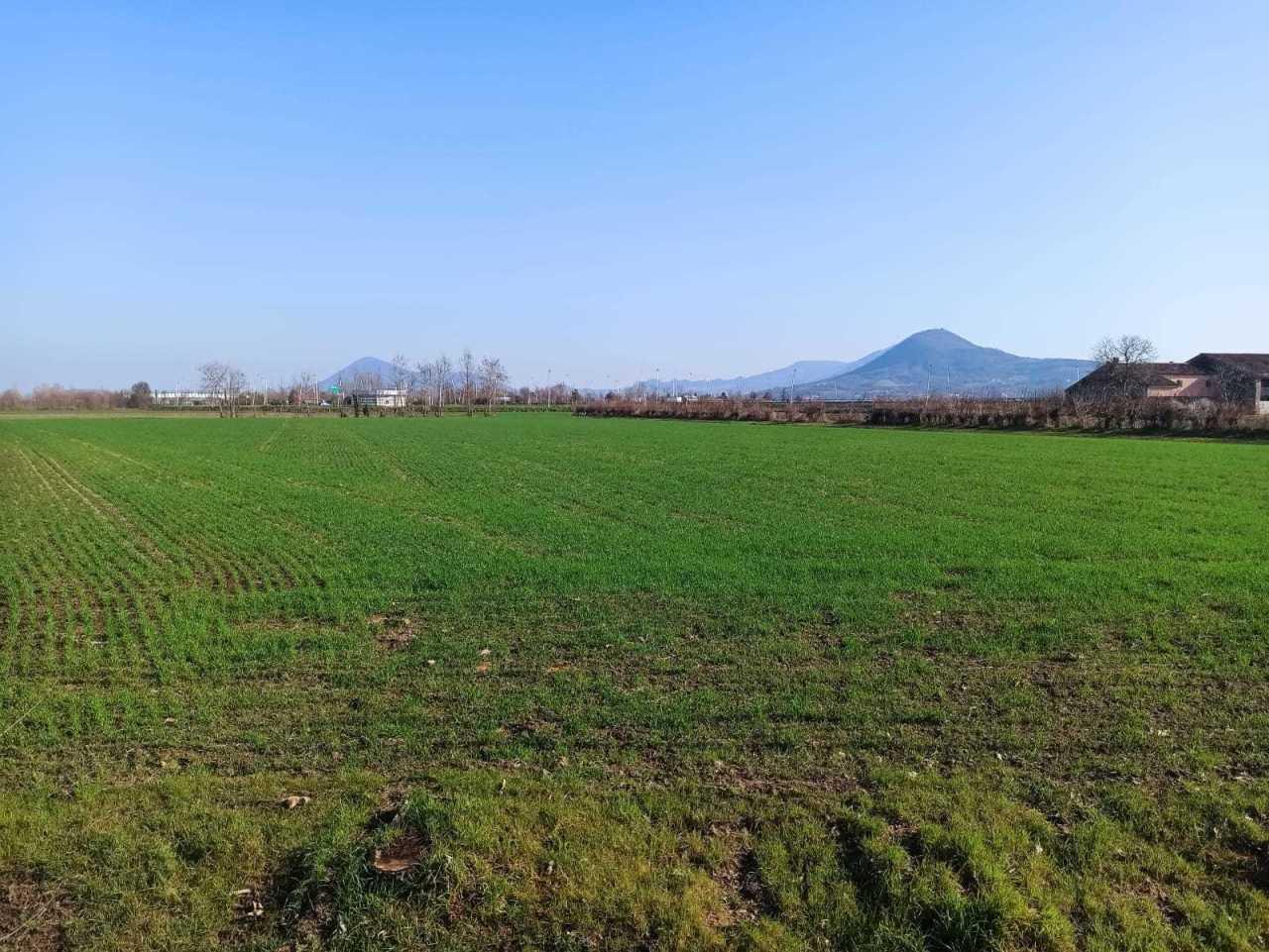 Vendita Monovano, Noventa Vicentina foto