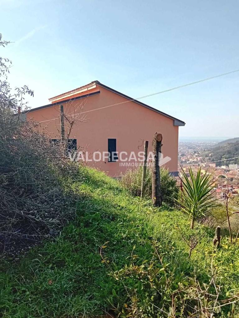 Vendita Multivani, Carrara foto