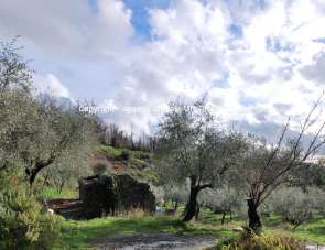 Vendita Quadrivani, Santo Stefano di Magra Vendita Quadrivani, Santo Stefano di Magra