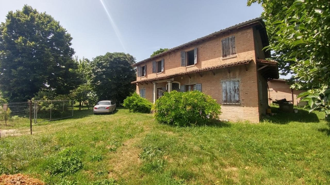 Vendita Multivani, Modena foto