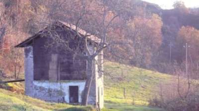 Vendita Bivani, Malvicino
