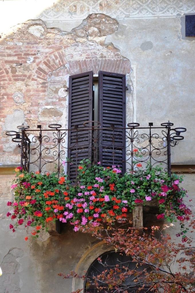 Vendita Multivani, Fermo foto
