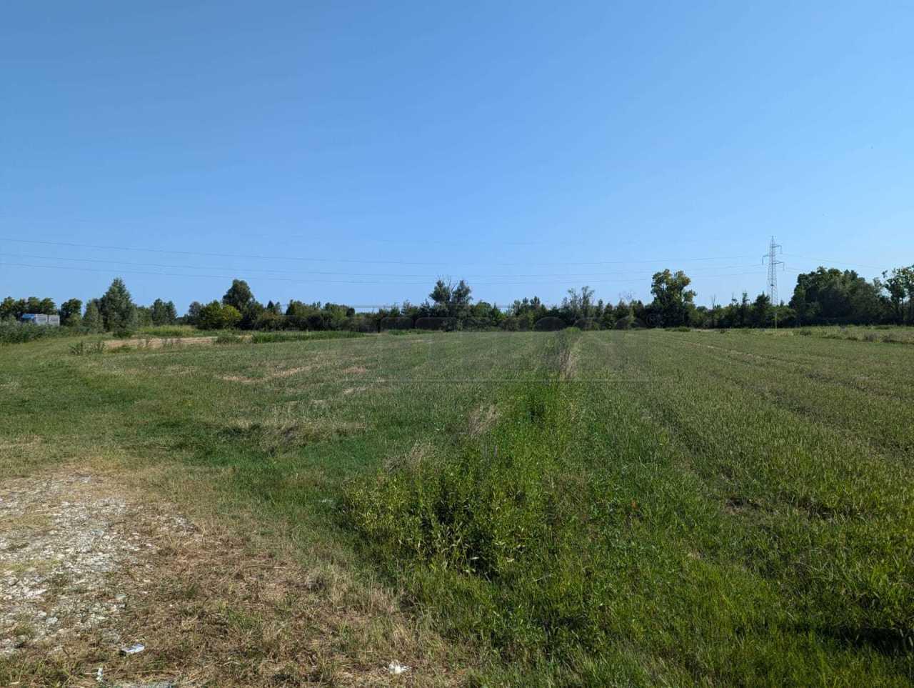 Vendita Terreni, Casale sul Sile foto
