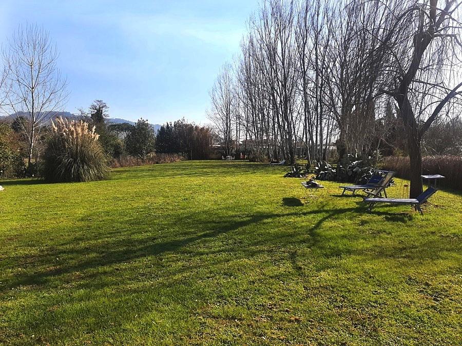 Vendita Multivani, Pietrasanta foto