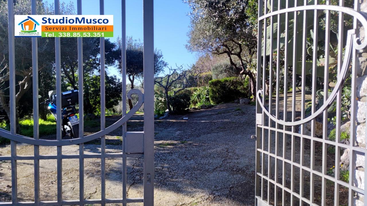 Vendita Esavani, Anacapri foto