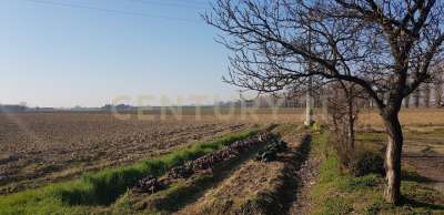 Vendita Monovano, Cerea