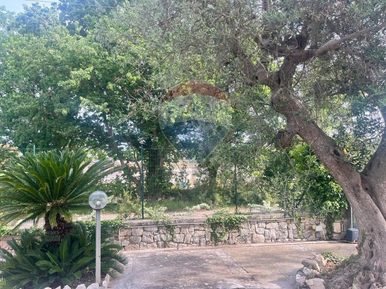 Vendita Trivani, Monopoli foto