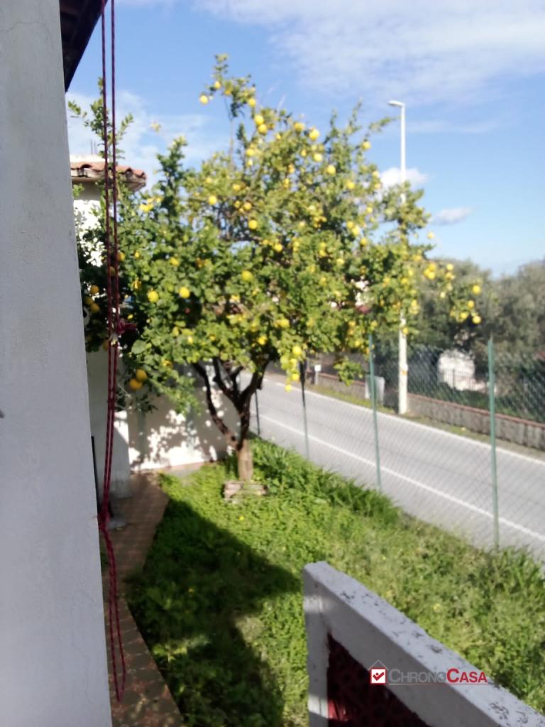 Vendita Trivani, Messina foto