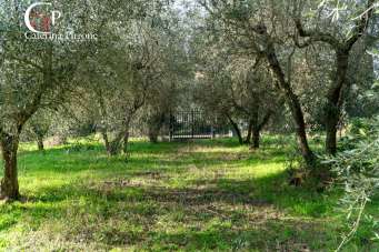 Vendita Rustico, Fiesole