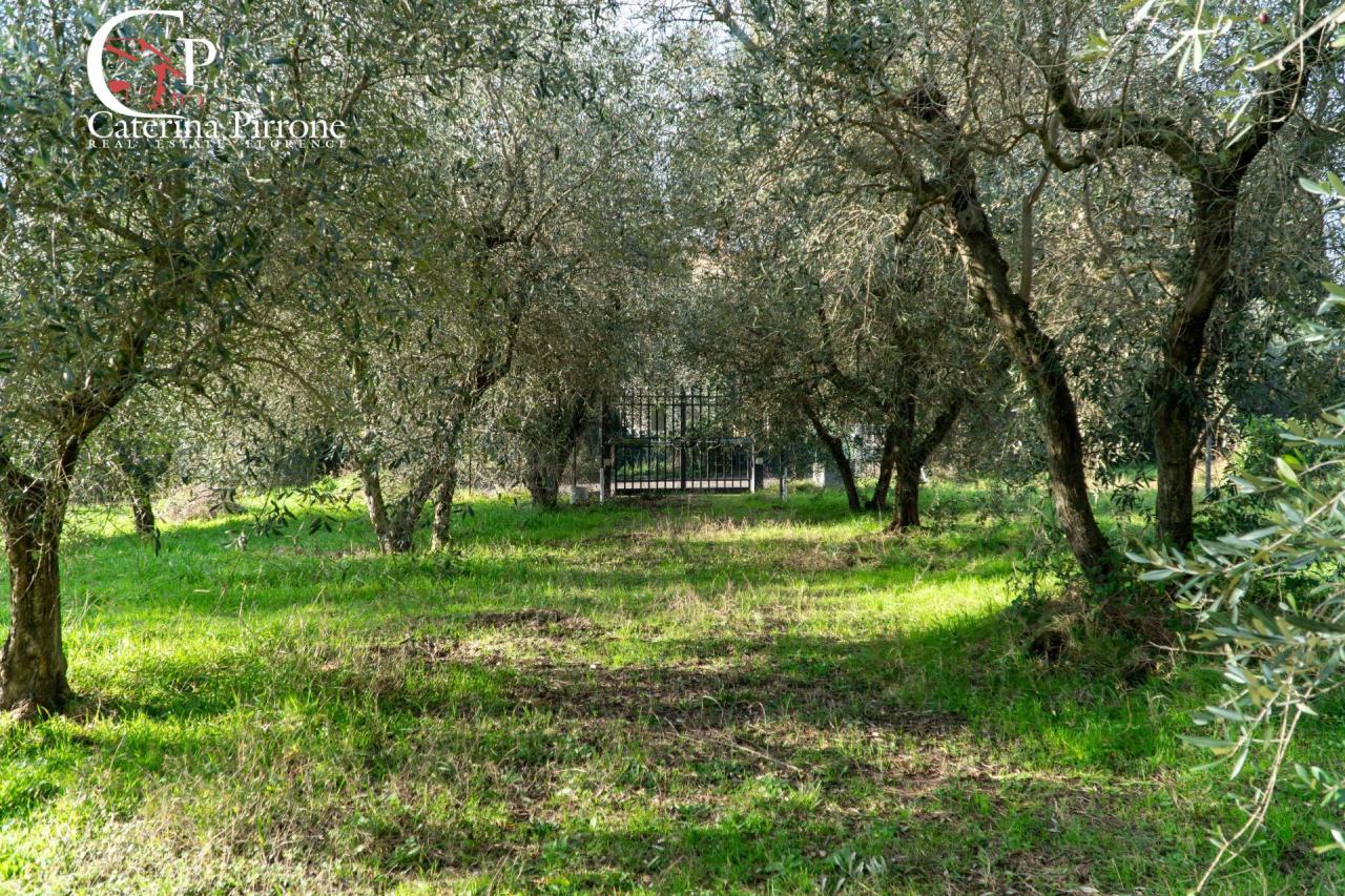 Vendita Rustico, Fiesole foto