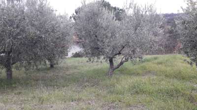 Vendita Casa indipendente, Roccamontepiano Vendita Casa indipendente, Roccamontepiano