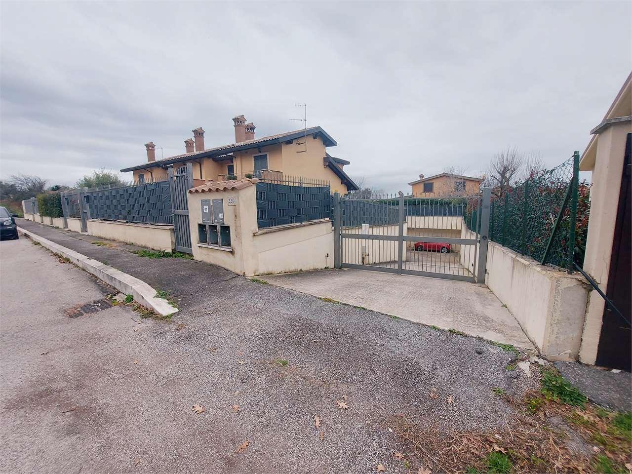 Vendita vendita, Rocca di Papa foto