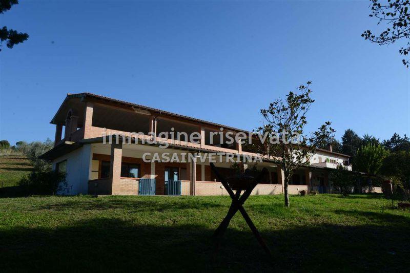 Vendita Multivani, Campagnatico foto