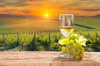Vendita Multivani, Dolegna del Collio Vendita Multivani, Dolegna del Collio