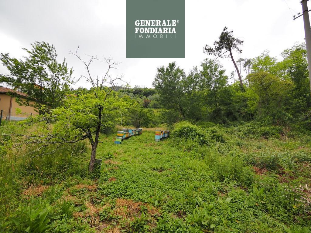 Vendita Terreno Agricolo, La Spezia foto