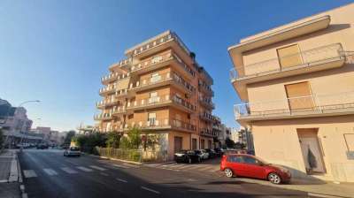 Vendita Trivani, Monopoli Vendita Trivani, Monopoli