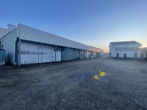 Vendita Industriale, Luzzara