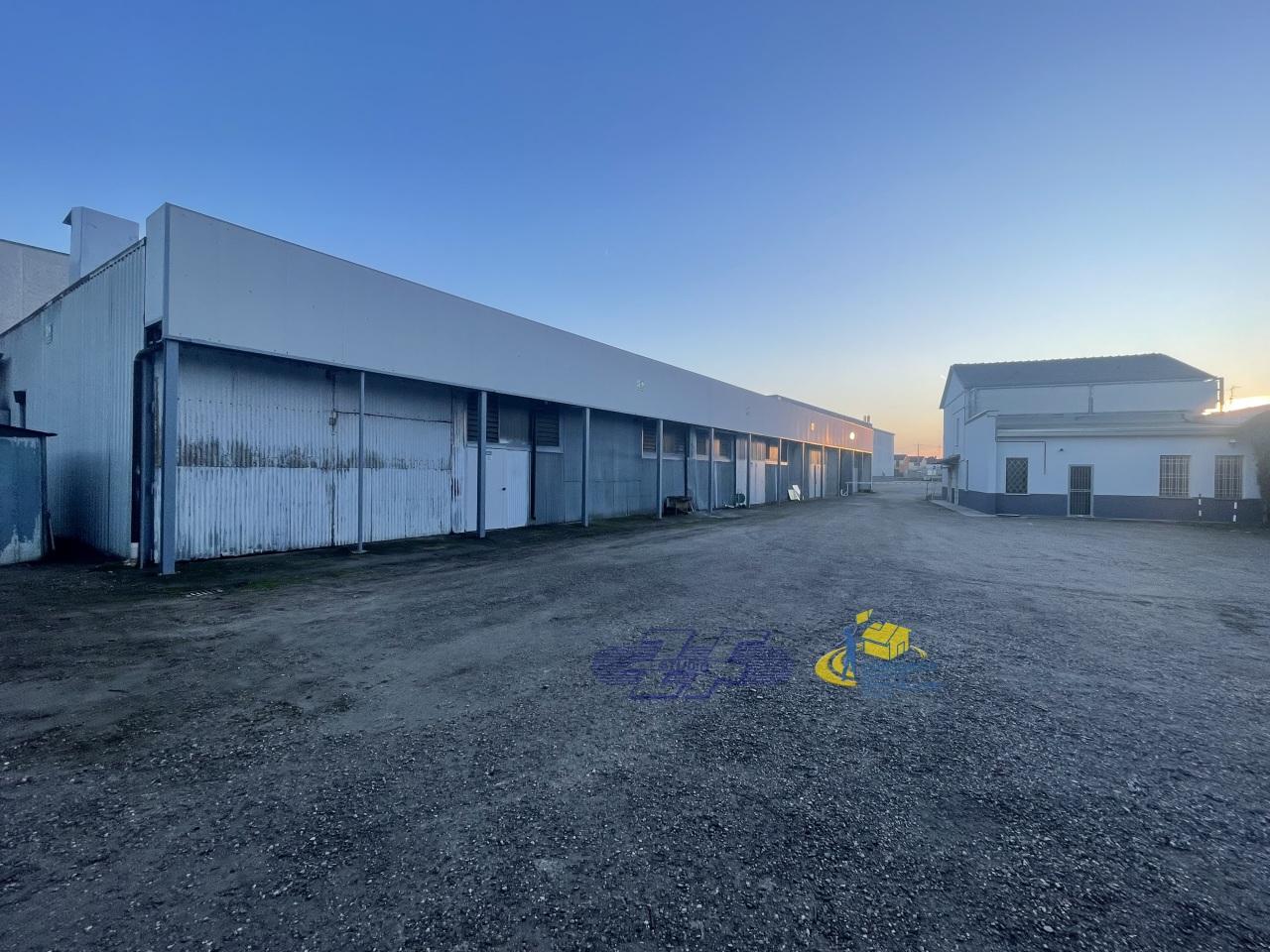 Vendita Industriale, Luzzara foto