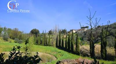 Vendita Terreno, Rignano sull'Arno