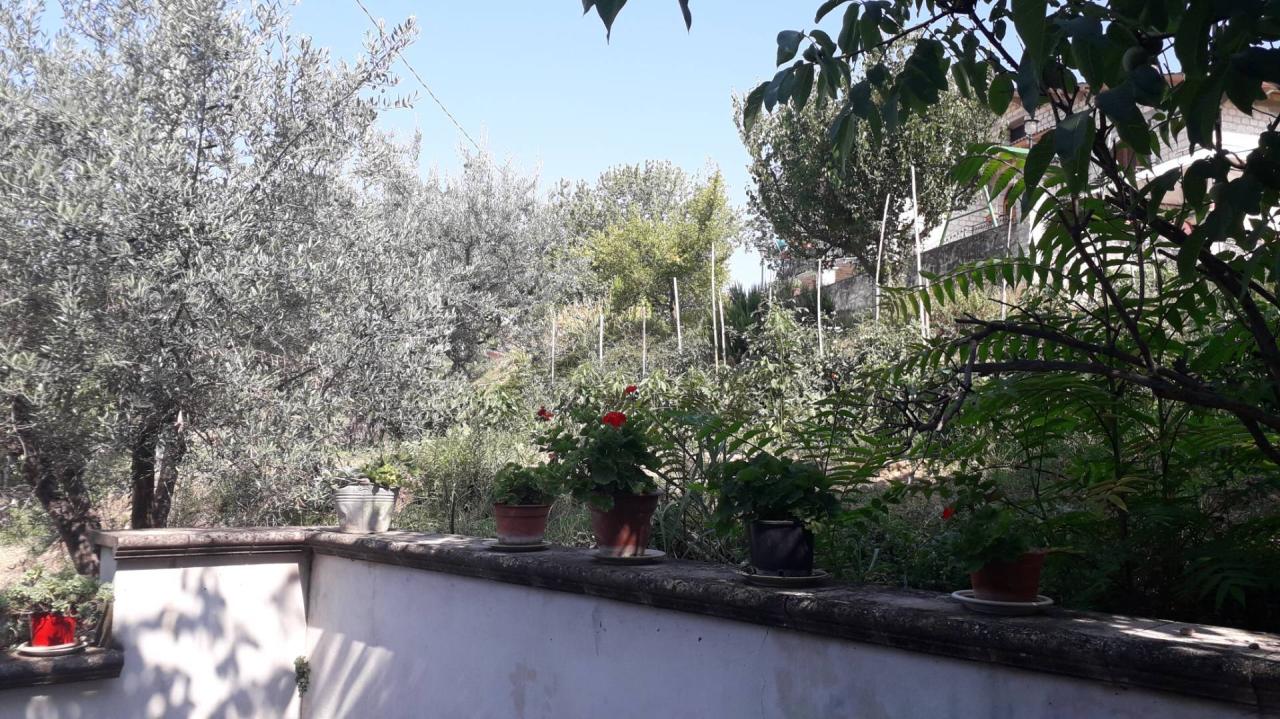 Vendita Casa indipendente, Manoppello foto