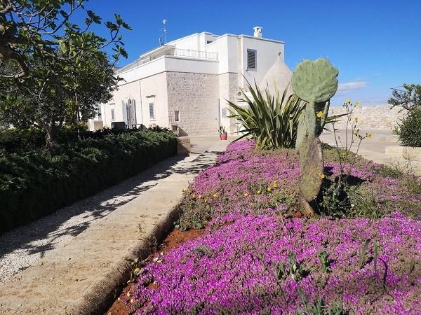 Vendita Rustico / Casale, Cisternino foto