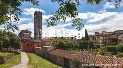 Affitto Esavani, Lucca Affitto Esavani, Lucca