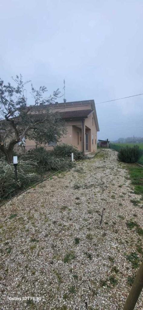 Vendita Multivani, Savignano sul Rubicone foto