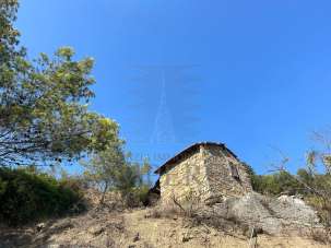 Vendita Trivani, Soldano Vendita Trivani, Soldano