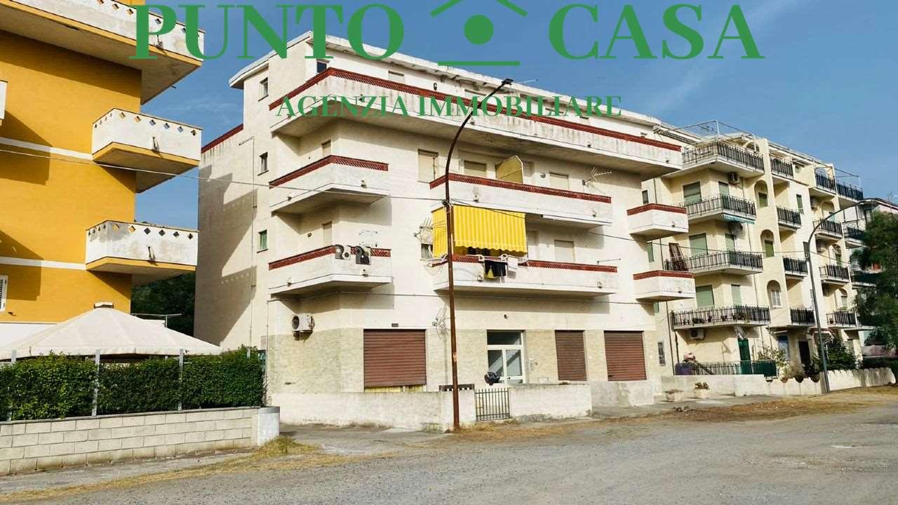 Vendita vendita, Falerna foto