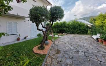 Affitto Trivani, Pietrasanta Affitto Trivani, Pietrasanta