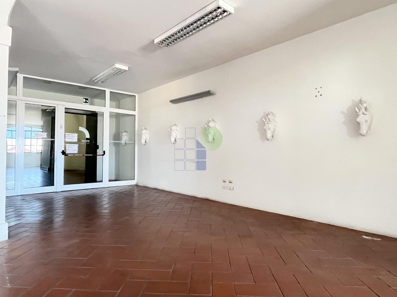 Affitto Quadrivani, Livorno foto
