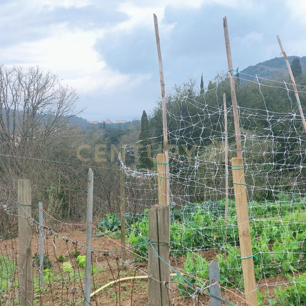 Vendita Monovano, Monte Argentario foto