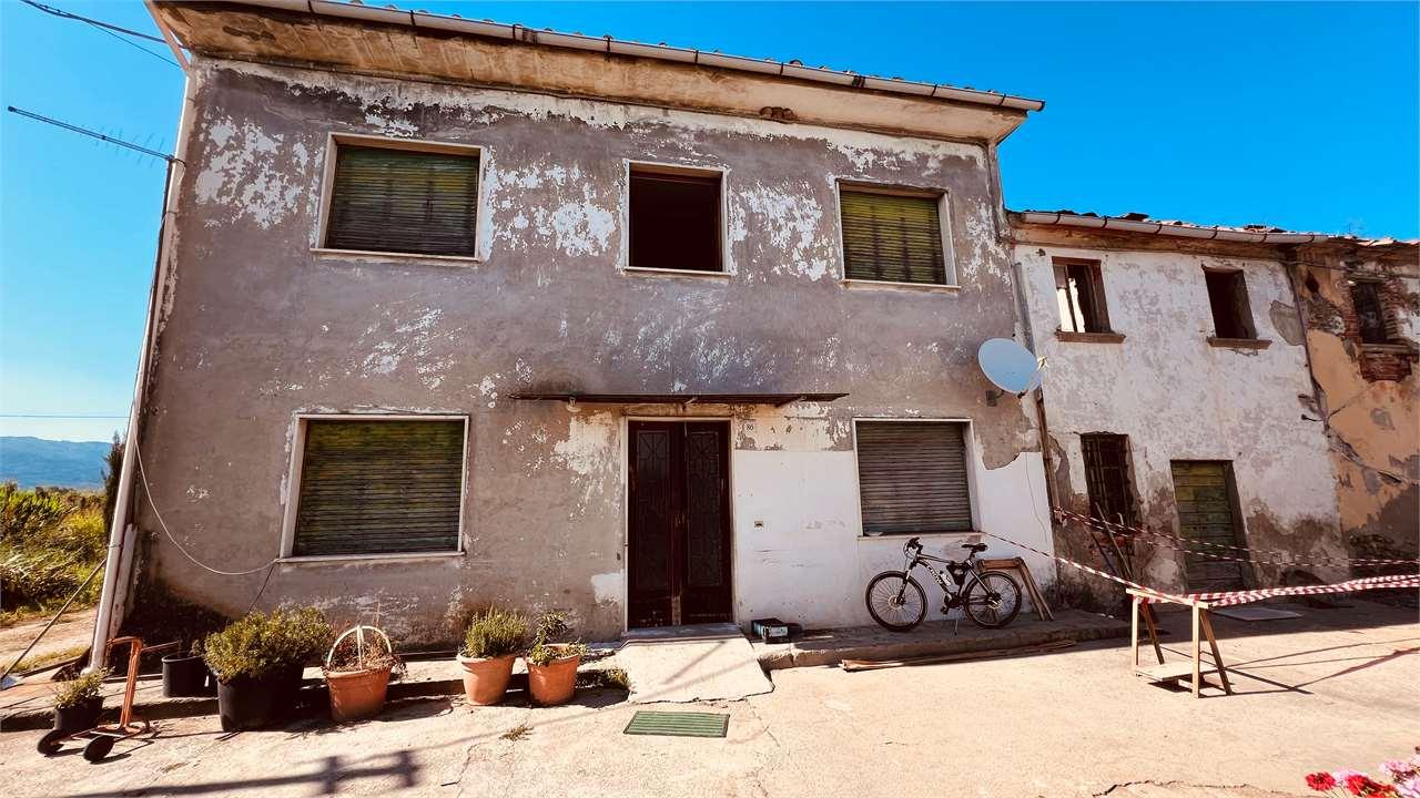 Vendita vendita, Pescia foto