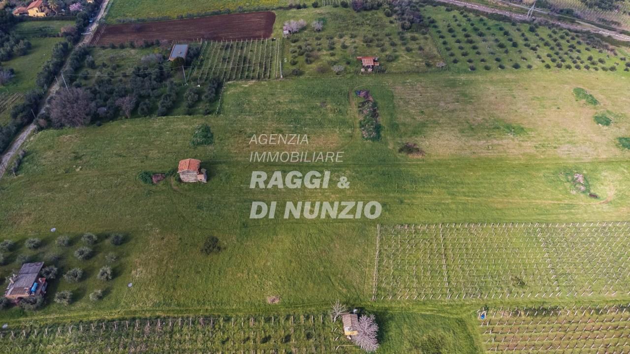 Vendita Terreni, Monte Compatri foto