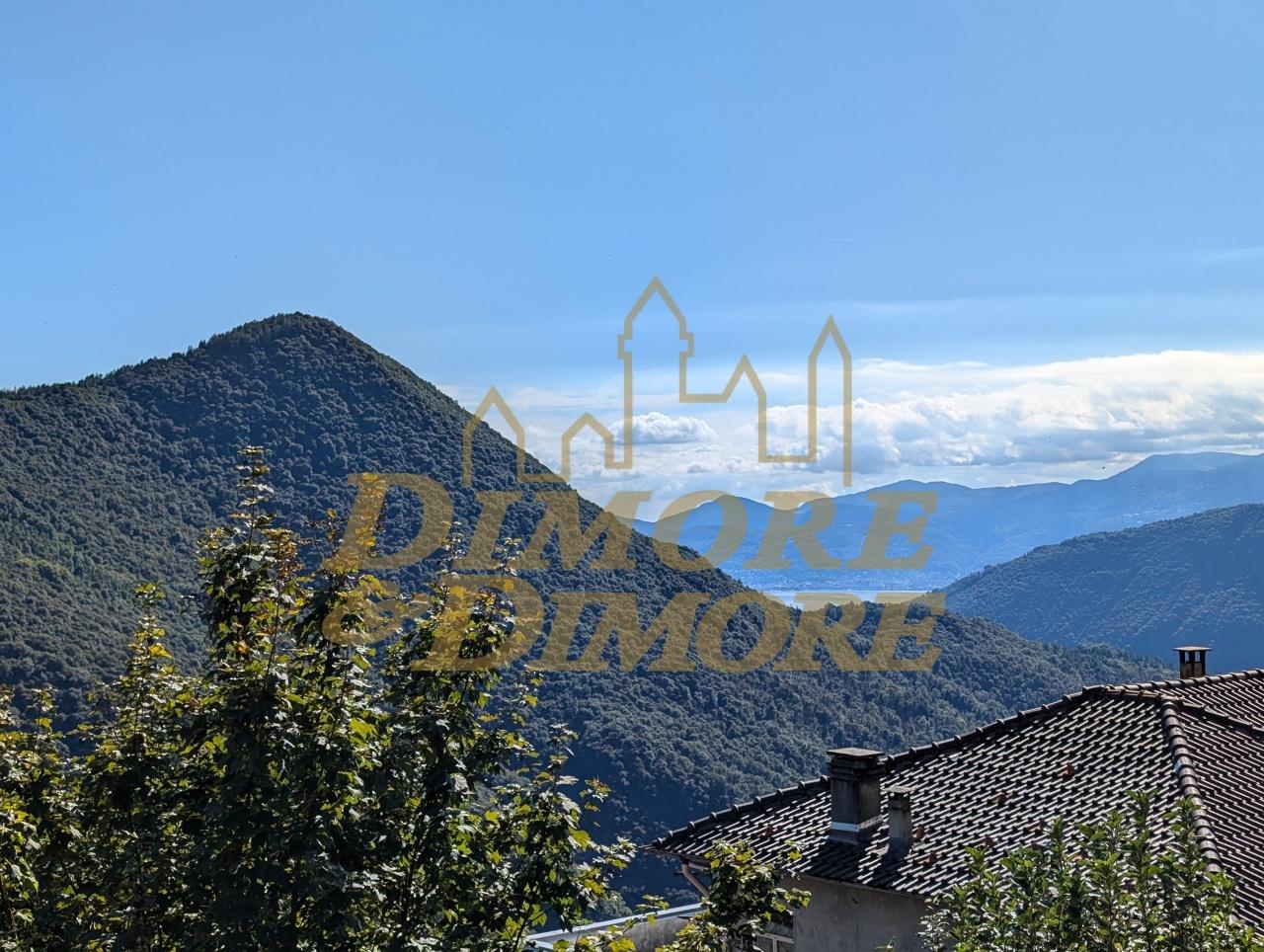 Vendita Multivani, Intragna foto