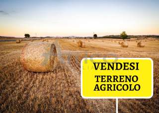 Vendita Terreni, Ceregnano Vendita Terreni, Ceregnano