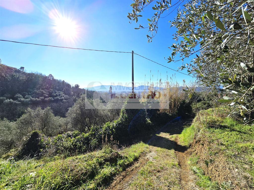 Vendita Terreno Agricolo, Santo Stefano di Magra foto
