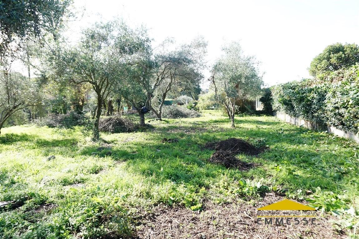 Vendita Loft, mansarde e attici, Massa foto
