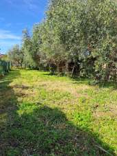 Vendita Pentavani, Massarosa