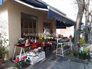 Vendita Altro - Non alimentare, Vallefoglia Vendita Altro - Non alimentare, Vallefoglia