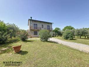 Vendita Eptavani, Castelfranco di Sotto Vendita Eptavani, Castelfranco di Sotto