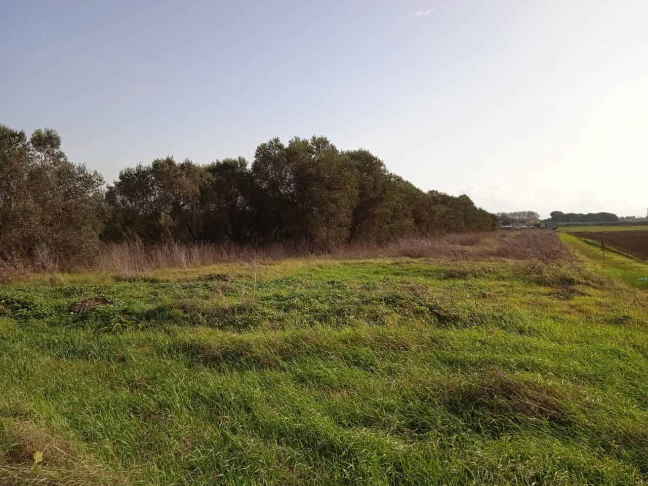 Vendita Altri immobili, Campiglia Marittima foto